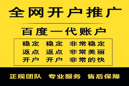 百度竞价公司运营策略：成功案例解析